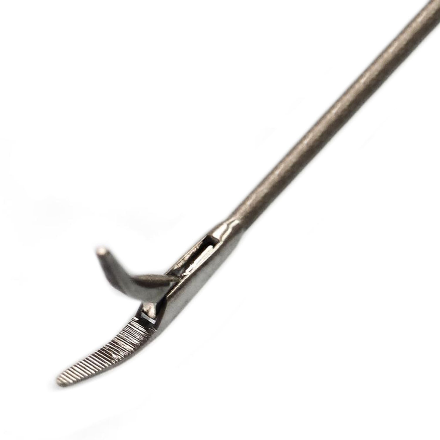 Storz Micro Alligator Forceps With Serrated Jaws Curved Up | 8683B | CincyMed