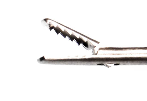 27023FE Flexible Grasping Forcep, 5Fr X 73cm, S/A - Flexible Forceps | CincyMed