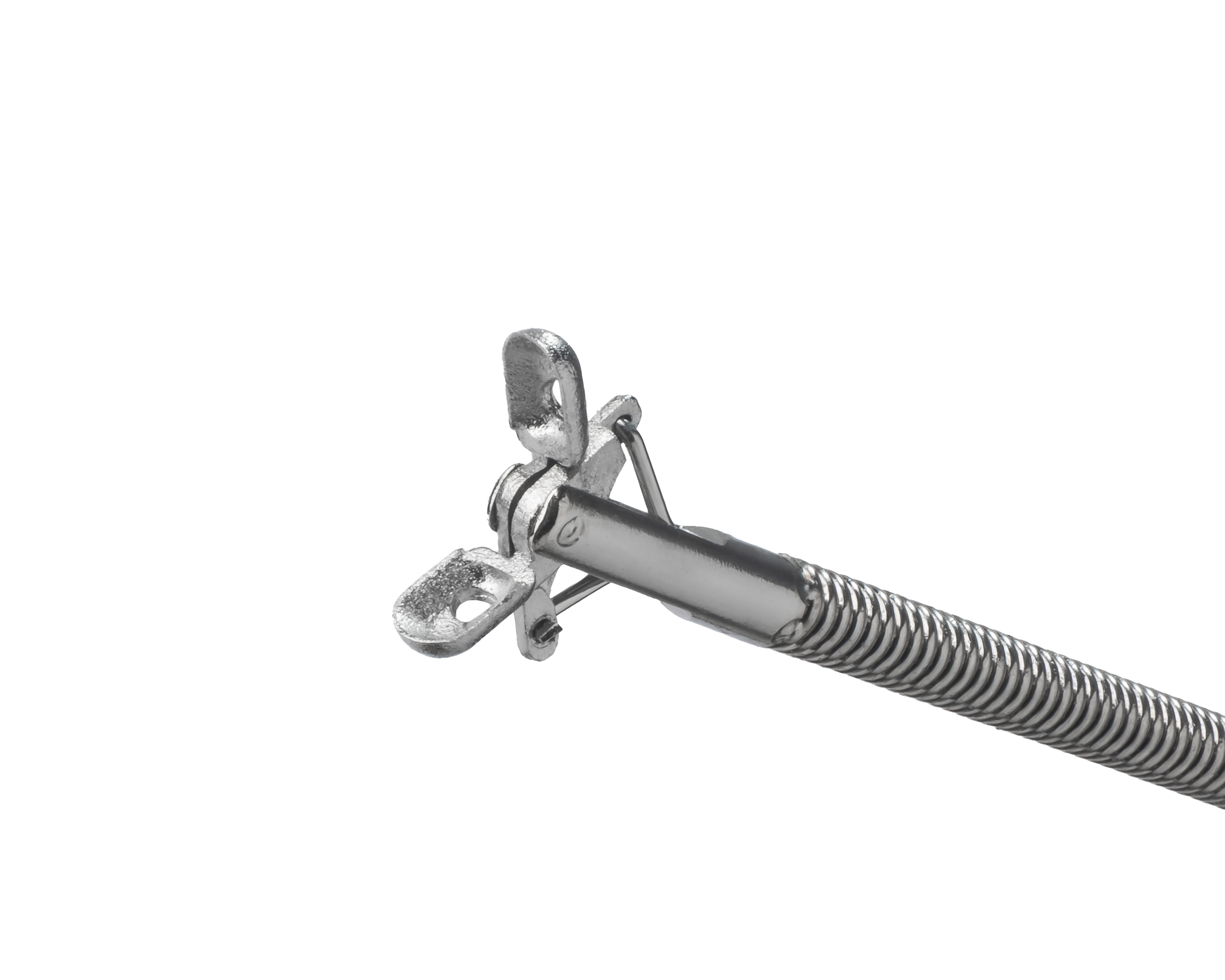AthenaGrasp™ Flexible Biopsy Forceps for Ureter & Kidney - Flexible Forceps | CincyMed