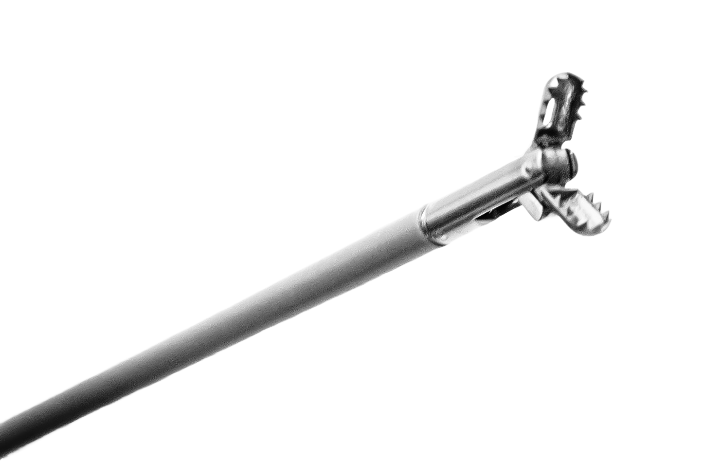 MinervaGrasp™ Single Use Flexible Biopsy Cup W/ Teeth Forceps for Gastroenterology - Flexible Forceps | CincyMed